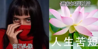 家長群好像在賞花什么意思 家長群好像在賞花什么梗