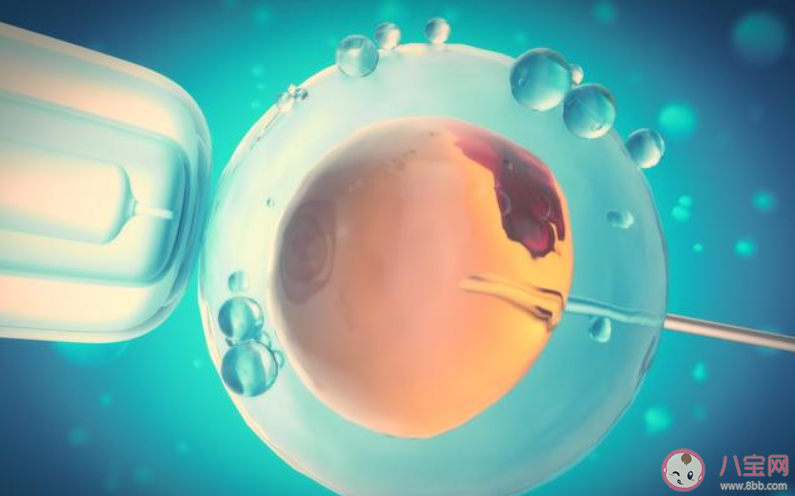 試管嬰兒會影響孩子智商嗎 失敗后多久可以再做試管嬰兒