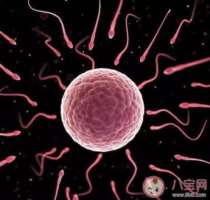 受精卵著床子宮會疼嗎 受精卵著床會有什么感覺2020 受精卵著床子宮會疼嗎 受精卵著床會有什么感覺2020