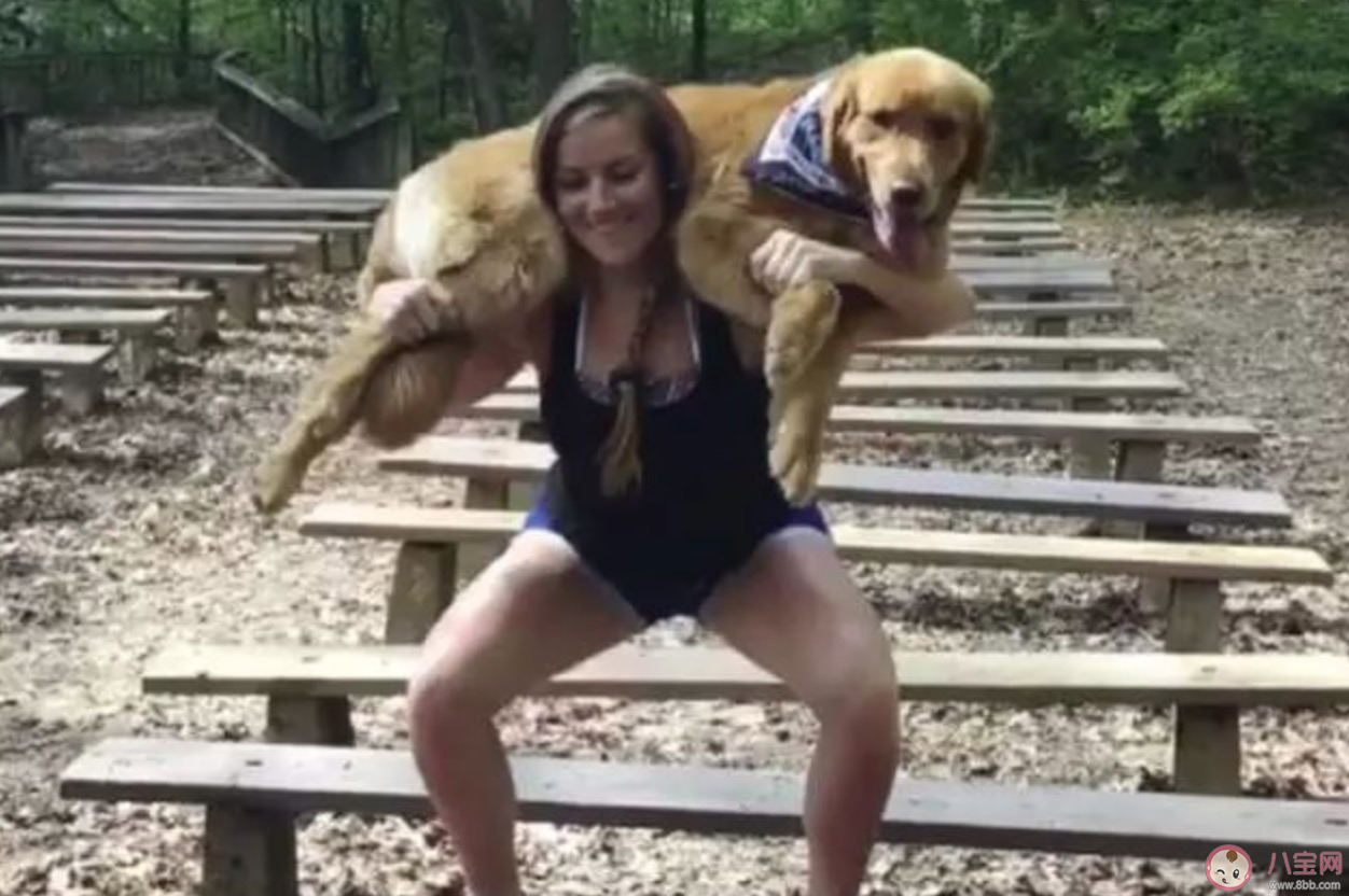 做完深蹲運動為什么膝蓋疼 深蹲運動時要注意什么