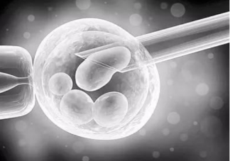 試管嬰兒會影響孩子智商嗎 失敗后多久可以再做試管嬰兒