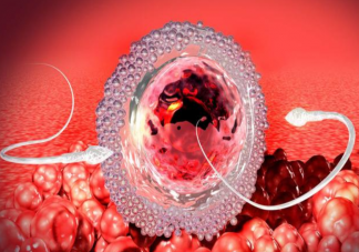 備孕期哪些情況不宜立即懷孕 不宜立即懷孕的10種情況