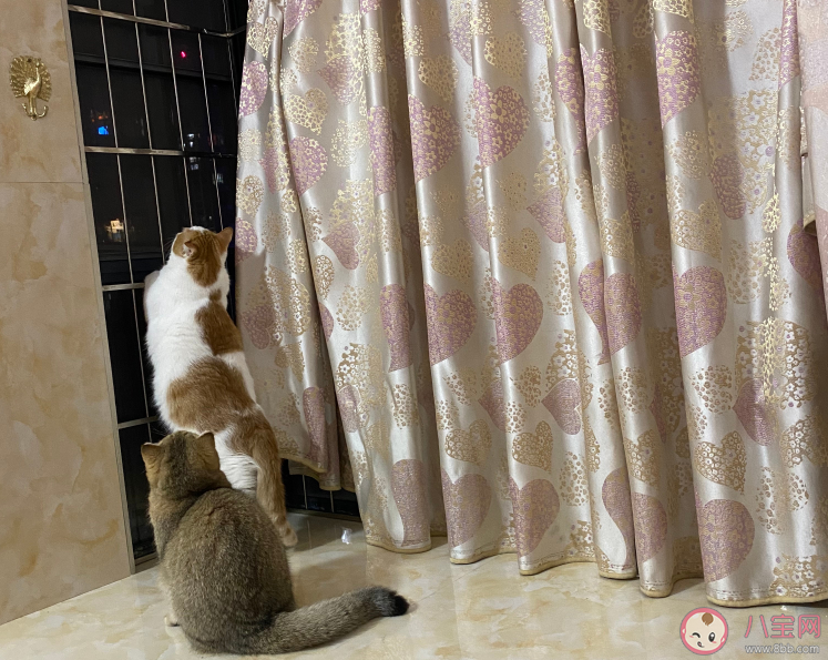 想出去玩的說說短句 表達(dá)想出去玩的說說朋友圈