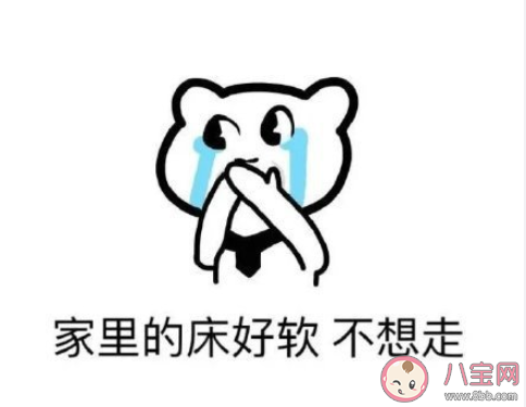 如果明天學校開學你會開心嗎 如果明天學校開學你是什么感受 如果明天學校開學你會開心嗎 如果明天學校開學你是什么感受