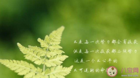 天氣變暖和了的朋友圈說說 天氣變暖了發朋友圈的句子 天氣變暖和了的朋友圈說說 天氣變暖了發朋友圈的句子