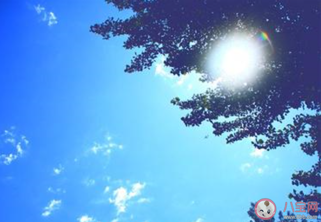 天氣暖和起來了的個性說說 2020氣溫升高了很暖和的說說