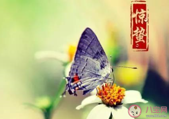 2020驚蟄節氣的創意文案句子說說 驚蟄節氣發的朋友圈文案說說 2020驚蟄節氣的創意文案句子說說 驚蟄節氣發的朋友圈文案說說