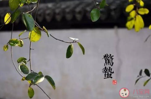 驚蟄節(jié)氣到了的唯美說說短句2020 驚蟄節(jié)氣到了的優(yōu)美文案句子 驚蟄節(jié)氣到了的唯美說說短句2020 驚蟄節(jié)氣到了的優(yōu)美文案句子