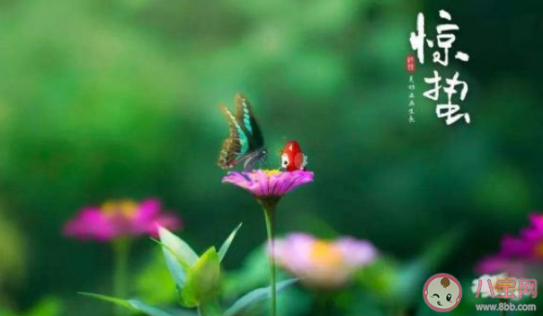 2020關于驚蟄節氣的經典問候語說說 驚蟄節氣的祝福語文案句子大全