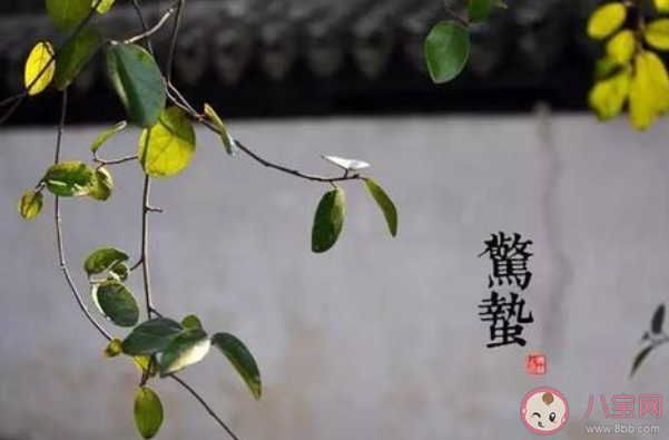 2020關于驚蟄節氣的經典問候語說說 驚蟄節氣的祝福語文案句子大全