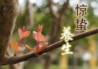 2020驚蟄節(jié)氣吃什么傳統(tǒng)食物 驚蟄節(jié)氣如何養(yǎng)生