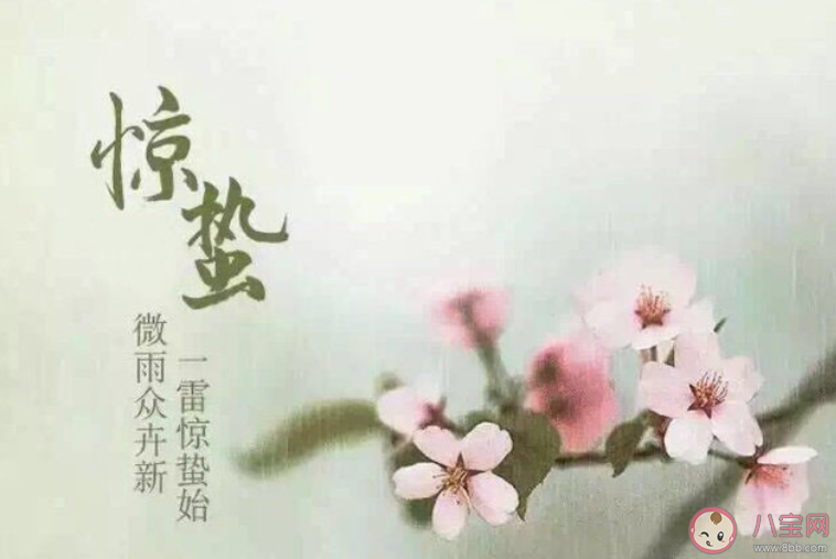 2020驚蟄節(jié)氣春雷響的朋友圈說說 2020驚蟄節(jié)氣春雷響的個性文案 2020驚蟄節(jié)氣春雷響的朋友圈說說 2020驚蟄節(jié)氣春雷響的個性文案