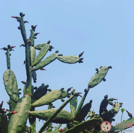 有了寶寶后沒睡個(gè)好覺的說說 朋友圈發(fā)寶寶睡覺說說 有了寶寶后沒睡個(gè)好覺的說說 朋友圈發(fā)寶寶睡覺說說