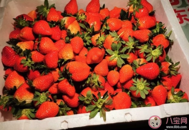 疫情期間吃草莓安全嗎 疫情期間吃草莓怎么消毒 疫情期間吃草莓安全嗎 疫情期間吃草莓怎么消毒
