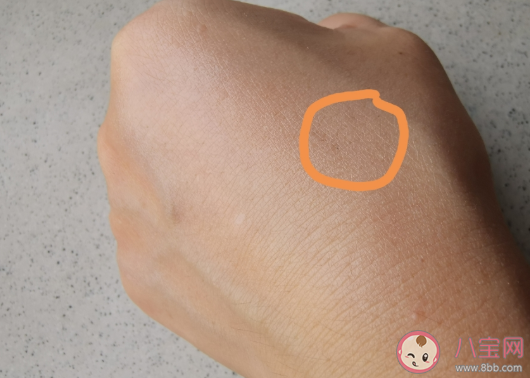 蘭芝水光粉底液好用嗎 蘭芝水光粉底液試用效果