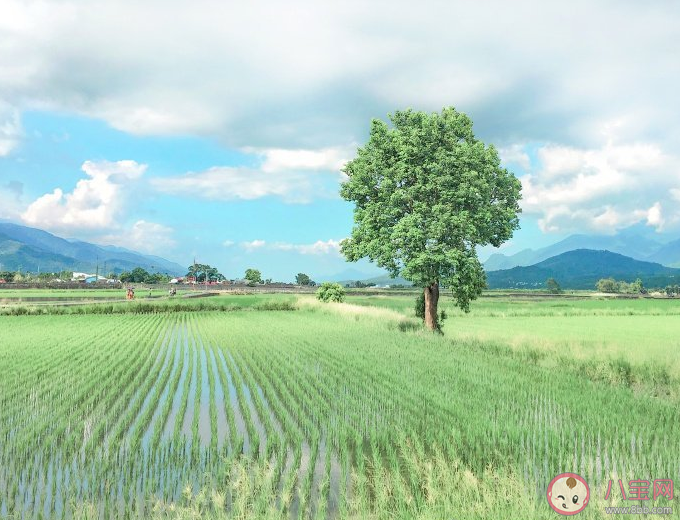 喜歡靜靜地聽歌說說句子 關(guān)于喜歡靜靜地聽歌的朋友圈