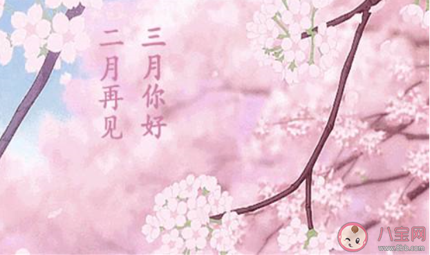 2月最后一天的心情句子 2020二月再見了的心情文案說說