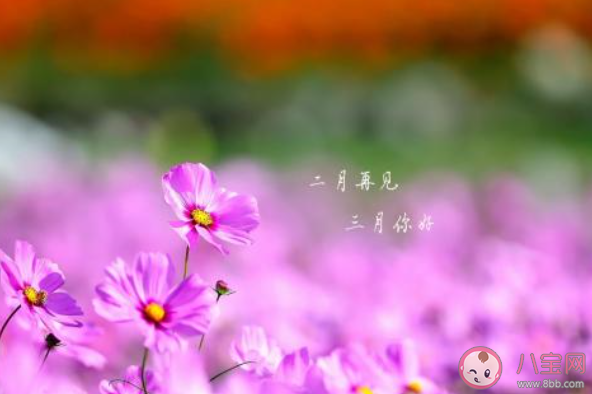 2月最后一天的心情句子 2020二月再見了的心情文案說說