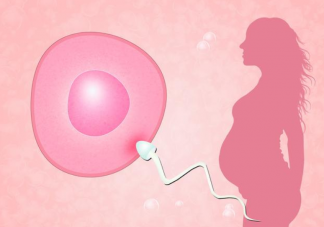 如何自測排卵期 排卵期需要注意什么