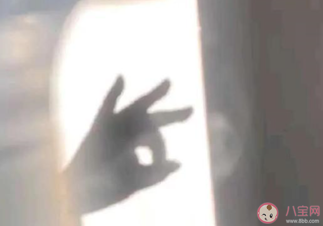 同人圈太太是什么意思 太太梗的出處是什么