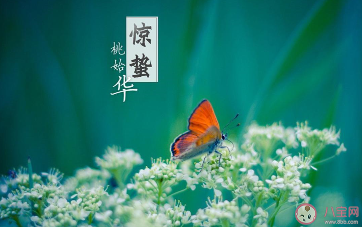 2020驚蟄節(jié)氣一句話問候語文案說說 驚蟄節(jié)氣的經(jīng)典問候語朋友圈句子