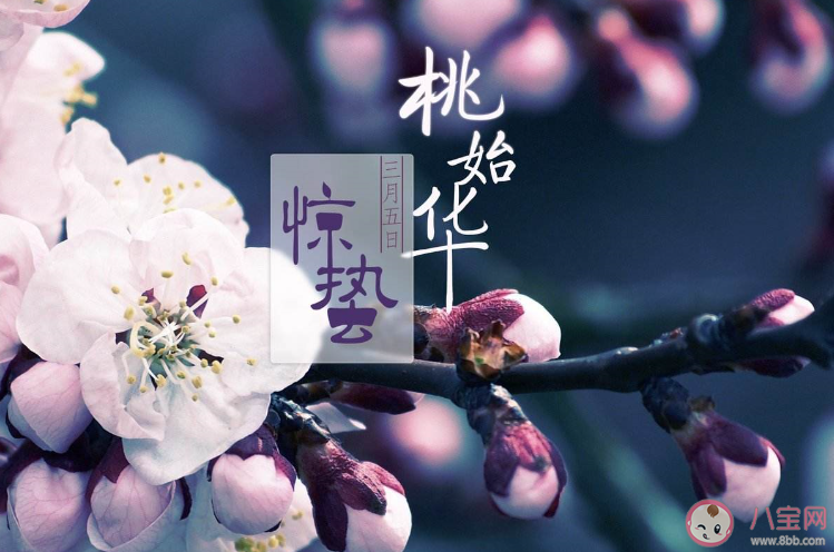 2020驚蟄節(jié)氣一句話問候語文案說說 驚蟄節(jié)氣的經(jīng)典問候語朋友圈句子