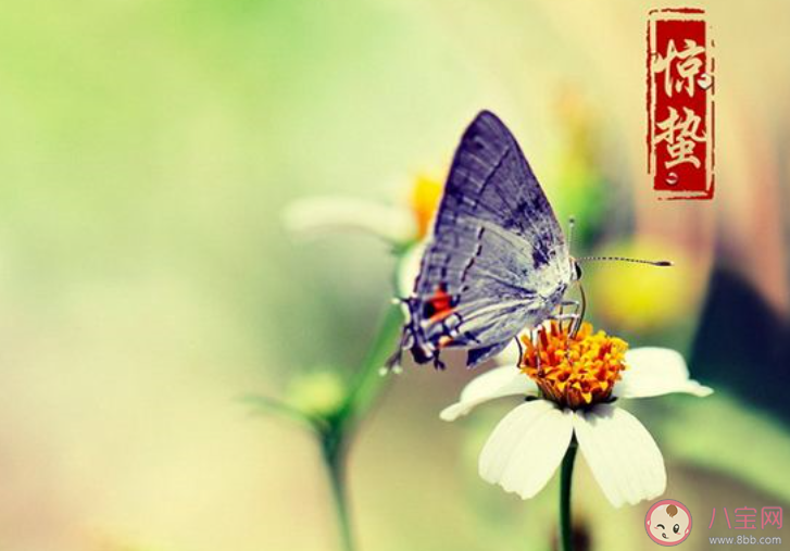 2020驚蟄節(jié)氣一句話問候語文案說說 驚蟄節(jié)氣的經(jīng)典問候語朋友圈句子