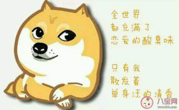 單身久了會有什么樣的想法 一直單身是什么樣的感受 單身久了會有什么樣的想法 一直單身是什么樣的感受