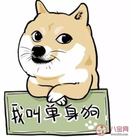 單身太久了的朋友圈說說 單身太久的心情句子