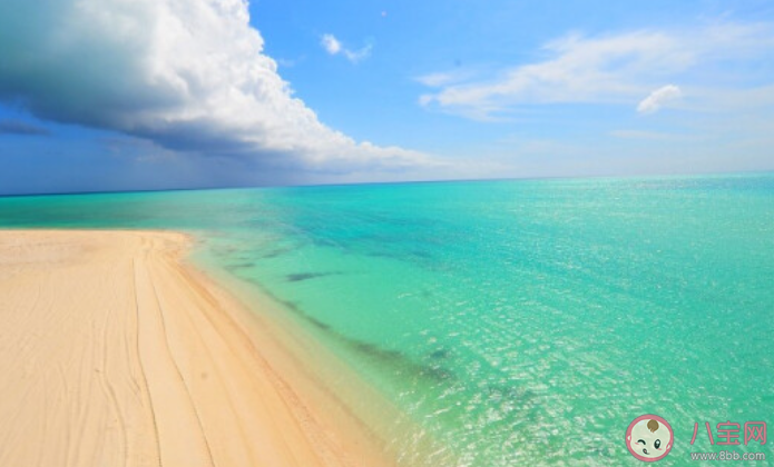 第一次去海邊的經典心情說說 第一次去海邊的心情句子