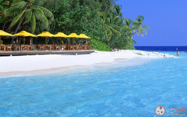 來到海邊游玩發(fā)朋友圈說說 2020到海邊了的心情分享