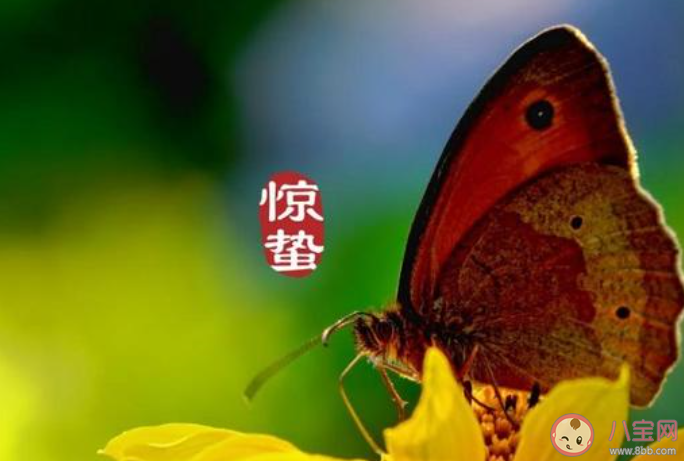 適合驚蟄節(jié)氣發(fā)朋友圈文案說說2021 驚蟄節(jié)氣的朋友圈說說文案