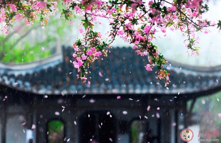 2020今日春分唯美圖片大全 春分朋友圈文案句子