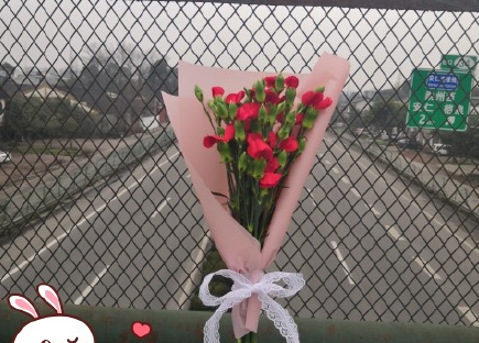 2020女生節(jié)朋友圈怎么發(fā) 適合女神節(jié)的朋友圈文案 2020女生節(jié)朋友圈怎么發(fā) 適合女神節(jié)的朋友圈文案