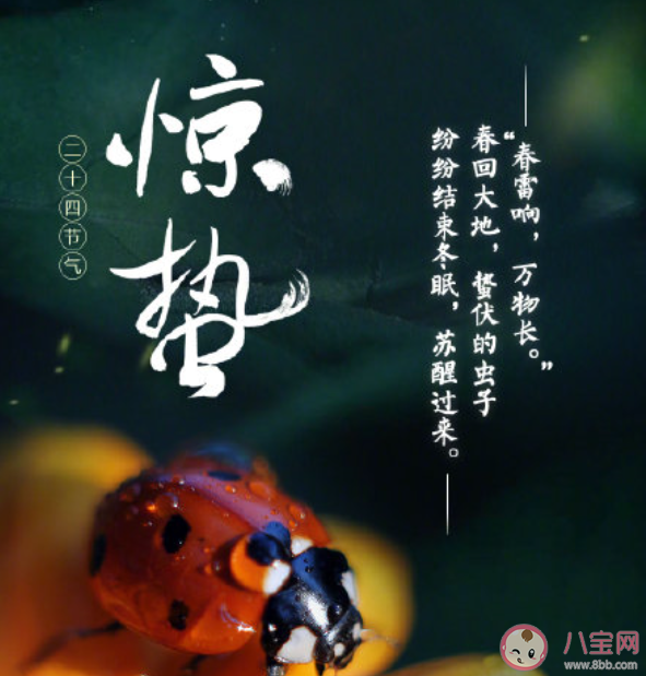 微雨眾卉新一雷驚蟄始是什么意思 微雨眾卉新一雷驚蟄始出自哪首詩