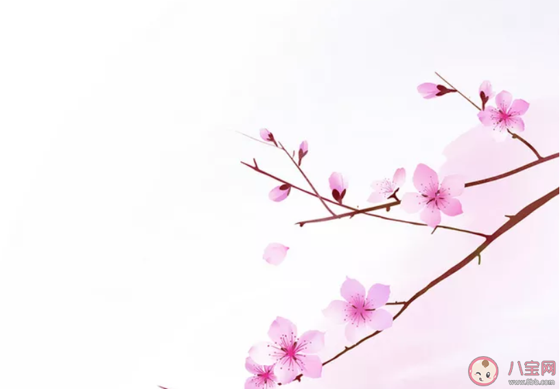 桃花開了經典美文句子 桃花開了經典說說語錄大全