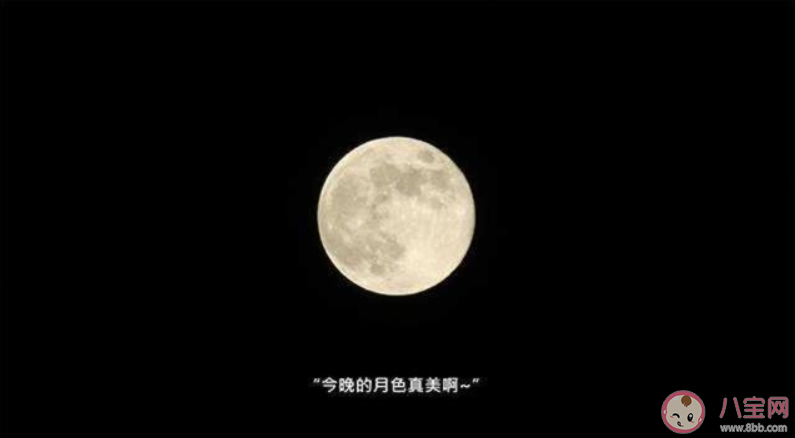 今晚月色真美的后半句是什么 今晚月色真美句子說說大全