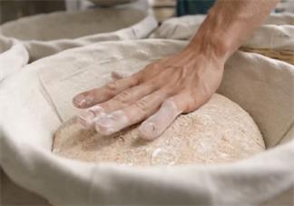 面包發(fā)酵失敗是怎么回事 面包發(fā)酵失敗原因是什么