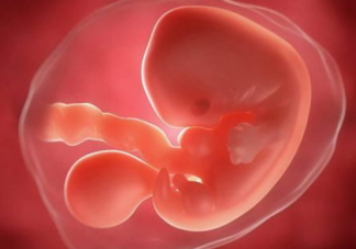 胎心胎芽正常出現的時間是哪一周 胎心胎芽出現早晚時間是什么原因