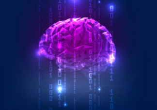 反應遲鈍記憶力差是什么導致的 大腦反應慢記性差堅持做什么動作好