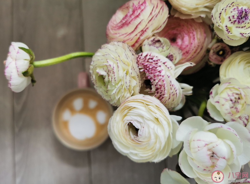 戴口罩上班心情句子 上班戴口罩心情感慨朋友圈