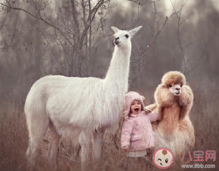 做過最真實的一場夢是什么 讓你覺得最真實的夢境發生了什么