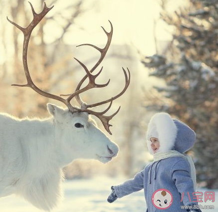 做過最真實的一場夢是什么 讓你覺得最真實的夢境發生了什么