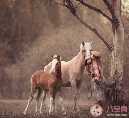 做過最真實的一場夢是什么 讓你覺得最真實的夢境發生了什么