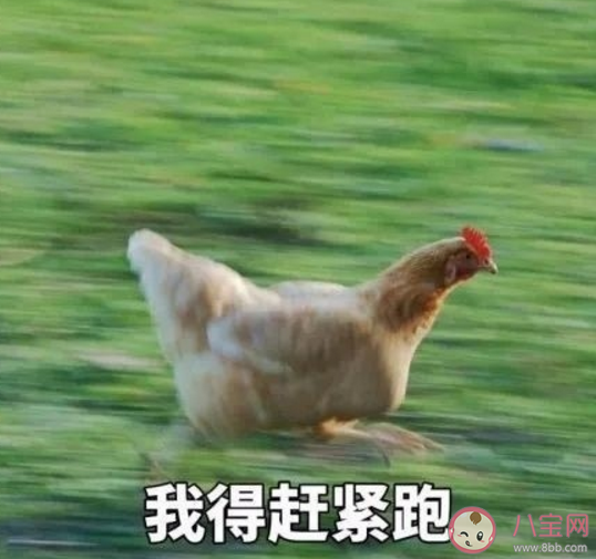 小時候追劇是什么樣子的 小時候追劇和現在追劇有什么不同