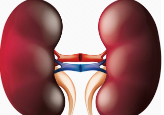 腎結石多喝水能排掉嗎 腎結石會導致腎結竭嗎
