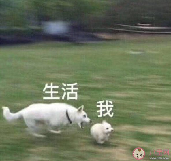 當(dāng)年選擇自己專(zhuān)業(yè)的原因是什么 當(dāng)初為什么要選擇這個(gè)專(zhuān)業(yè) 當(dāng)年選擇自己專(zhuān)業(yè)的原因是什么 當(dāng)初為什么要選擇這個(gè)專(zhuān)業(yè)