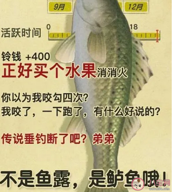 不是魚露是鱸魚哦是什么梗 不是魚露是鱸魚哦梗的出處是什么 不是魚露是鱸魚哦是什么梗 不是魚露是鱸魚哦梗的出處是什么