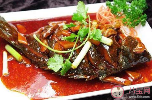 不是魚露是鱸魚哦是什么梗 不是魚露是鱸魚哦梗的出處是什么 不是魚露是鱸魚哦是什么梗 不是魚露是鱸魚哦梗的出處是什么