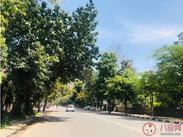 疫情時(shí)為什么企業(yè)會破產(chǎn) 疫情為什么會導(dǎo)致企業(yè)撐不下去